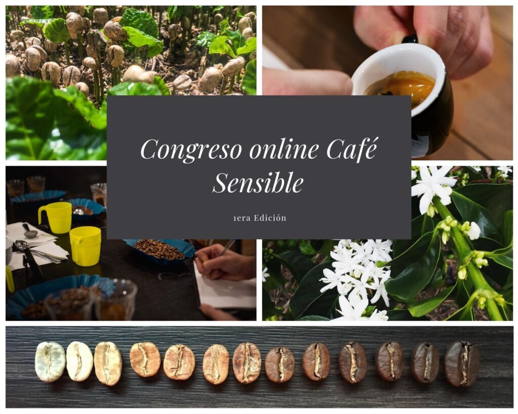 Congreso Online Café Sensible (1era edición )